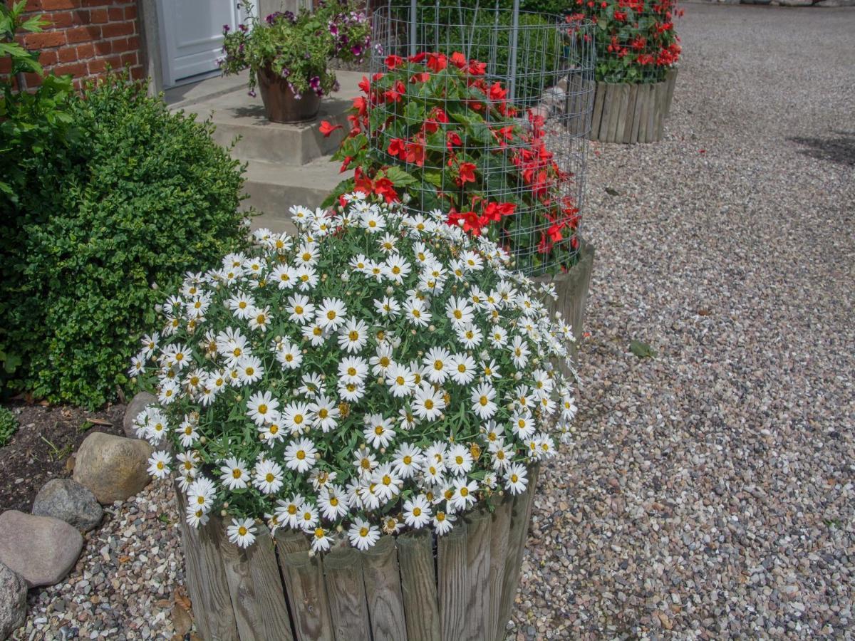 Landurlaub Regenholz Appartement Kronsgaard Buitenkant foto