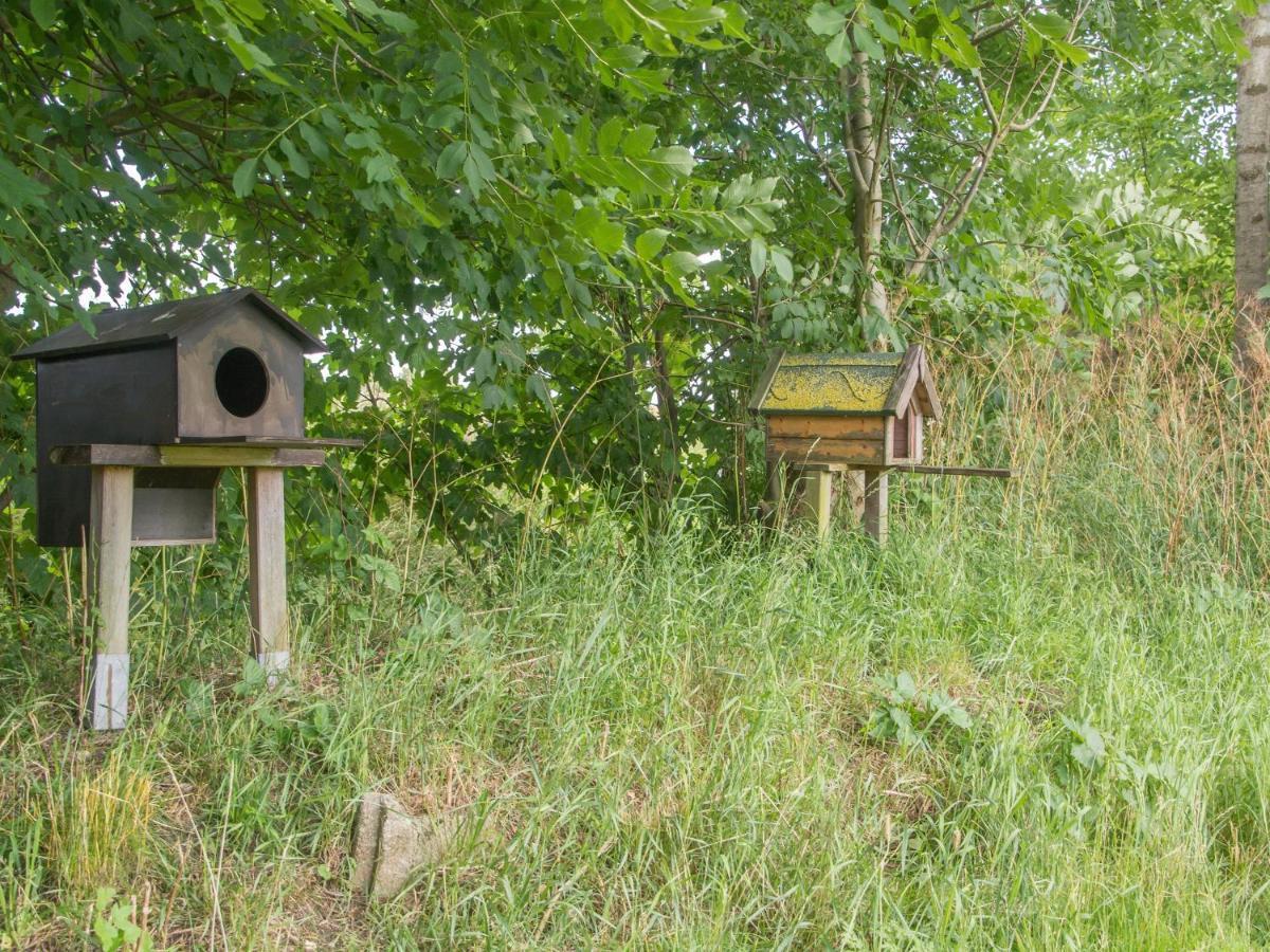 Landurlaub Regenholz Appartement Kronsgaard Buitenkant foto